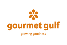 Logo 61 client logo